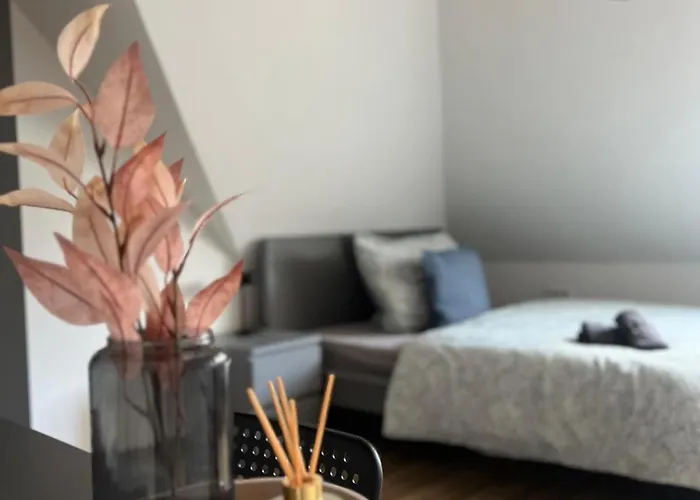 Socha Zuhause Auf Zeit, Monteurwohnungen In Appartement